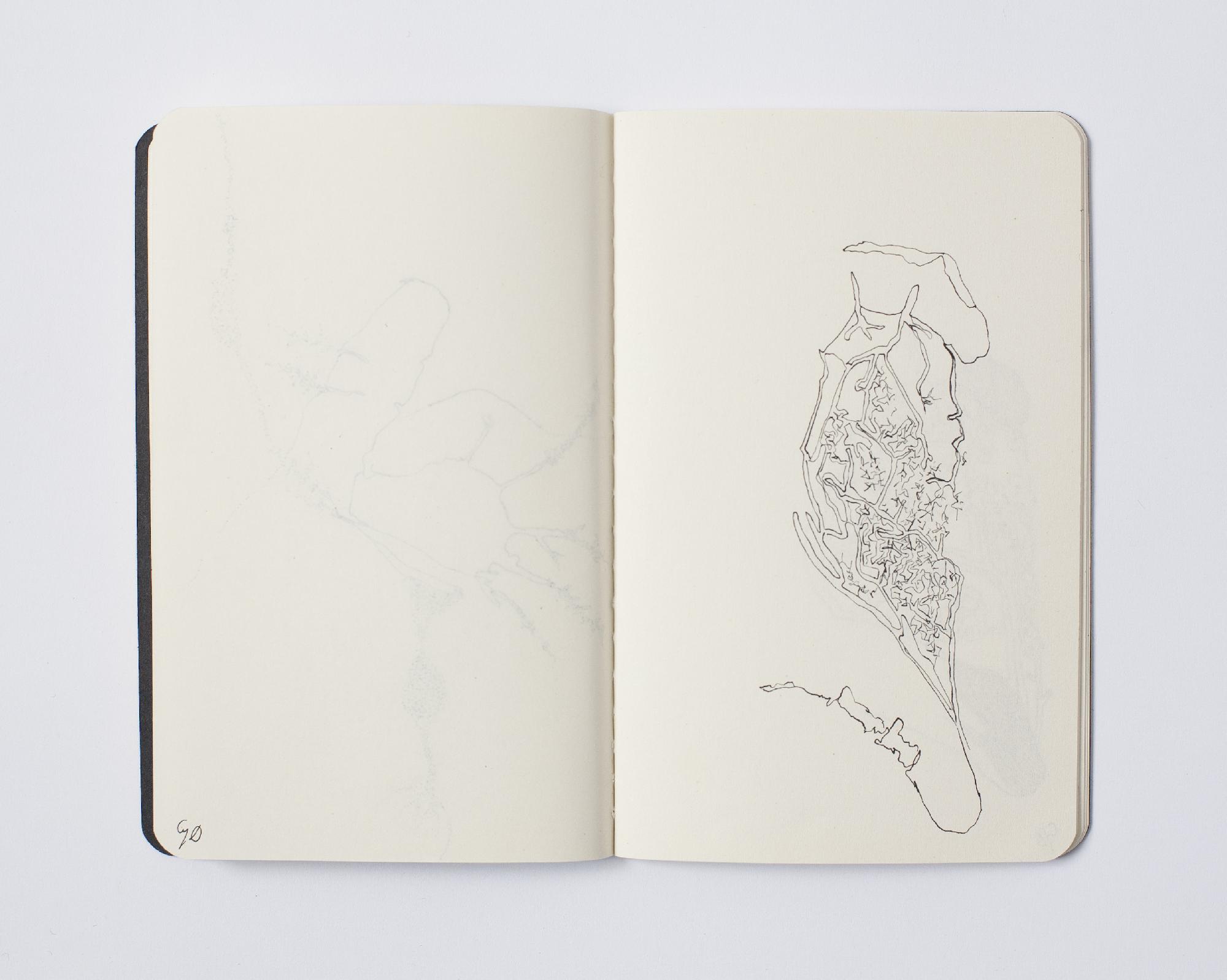 seriedessinee_4